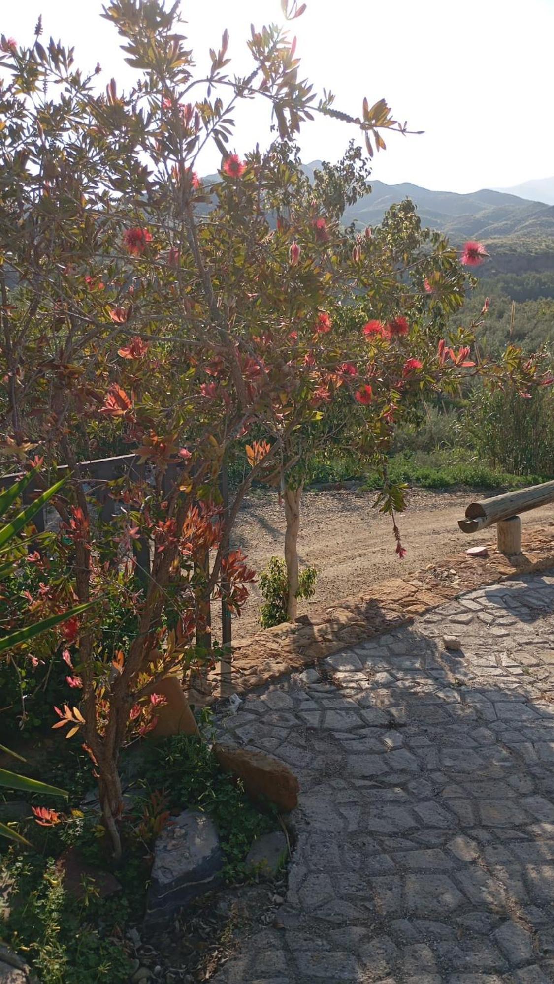 Cortijo Rural Molino El Tarahal Con Piscina Y Zonas Compartidas Luaran gambar