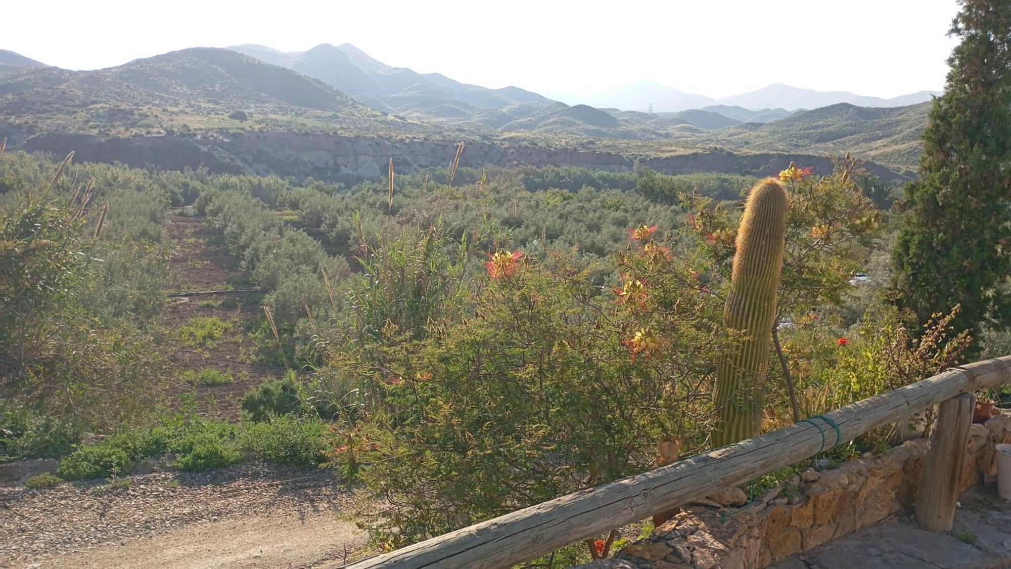 Cortijo Rural Molino El Tarahal Con Piscina Y Zonas Compartidas Luaran gambar